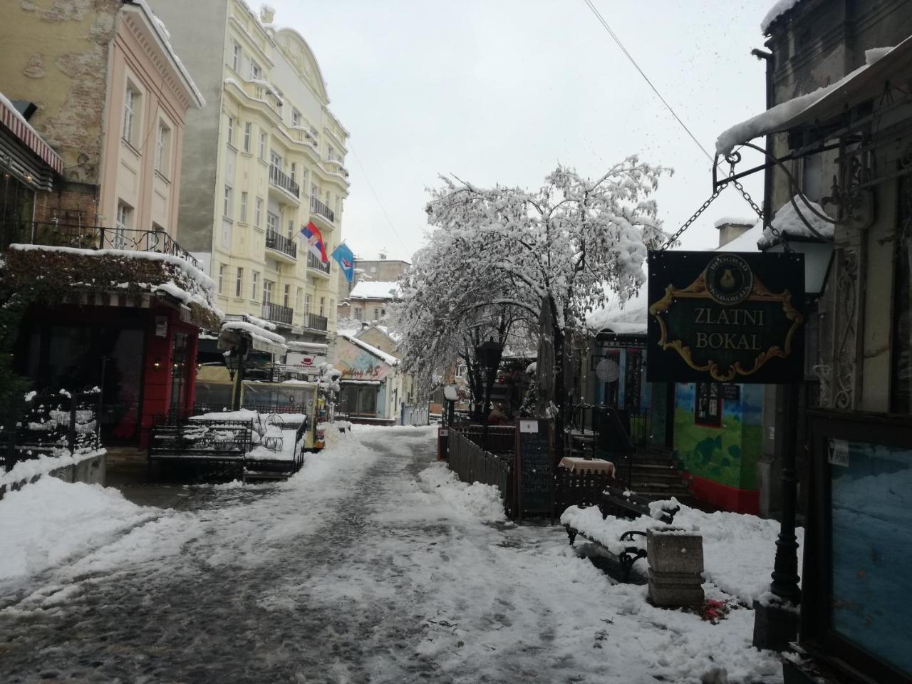 Ferienwohnung By The Park Free Parking Belgrad Exterior foto